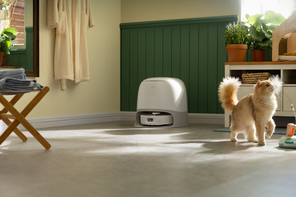 로보락 Qrevo Curv 2 Flow FAQ｜쉽고 빠르게 이해하기